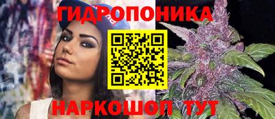 mix Сланцы