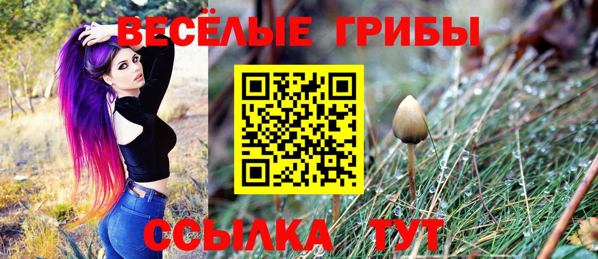 Галлюциногенные грибы Psilocybine cubensis Наро-Фоминск